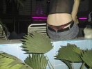 PIC00027